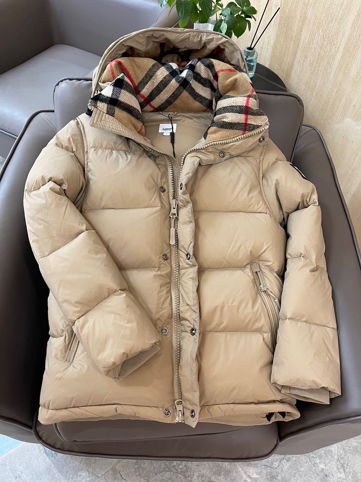 Burberry Down Jackets